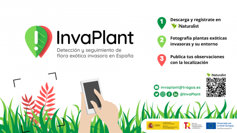 invaplant icon