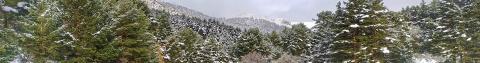 Imagen de bosque nevado