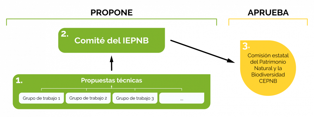 imagen descriptiva del flujo de decisión del iepnb